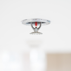 Ballantyne Fire Protection - Fire Sprinkler 2